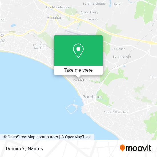 Domino's map