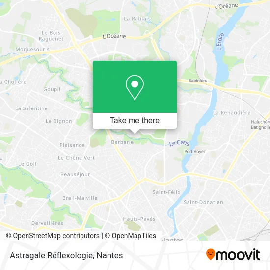 Mapa Astragale Réflexologie