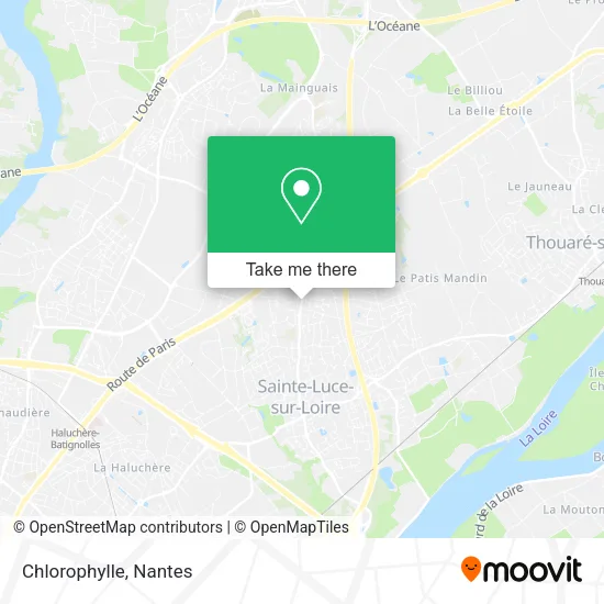 Chlorophylle map
