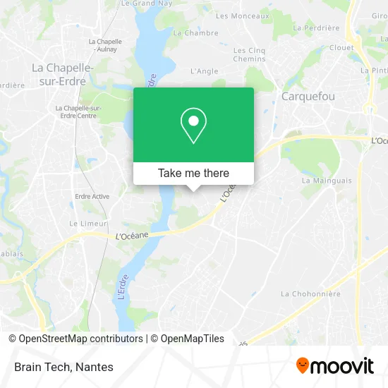 Brain Tech map