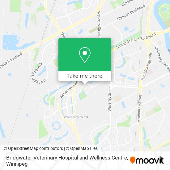 Bridgwater Veterinary Hospital and Wellness Centre plan