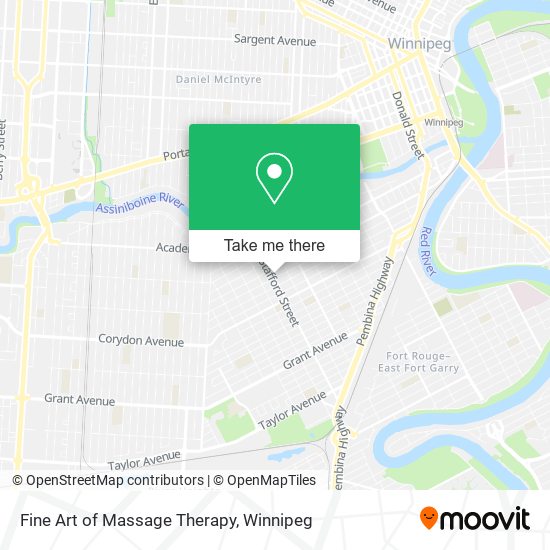 Fine Art of Massage Therapy plan