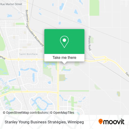 Stanley Young Business Stratégies map