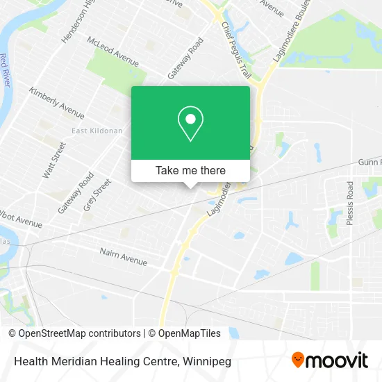 Health Meridian Healing Centre plan