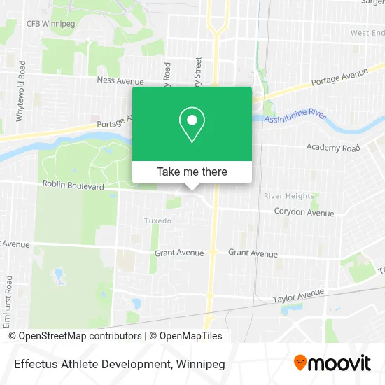 Effectus Athlete Development map