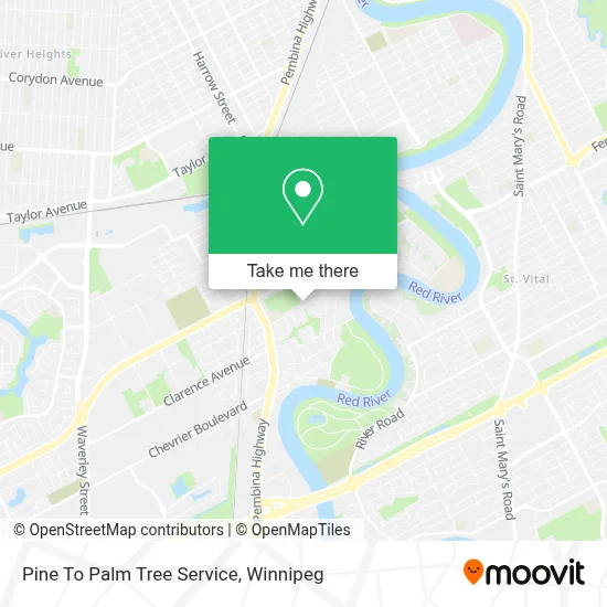 Pine To Palm Tree Service map