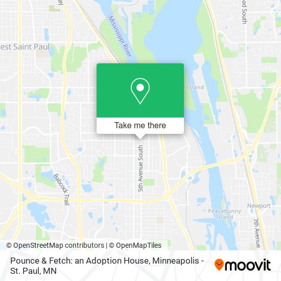 Pounce & Fetch: an Adoption House map