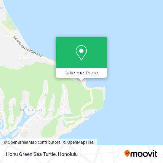 Mapa de Honu Green Sea Turtle