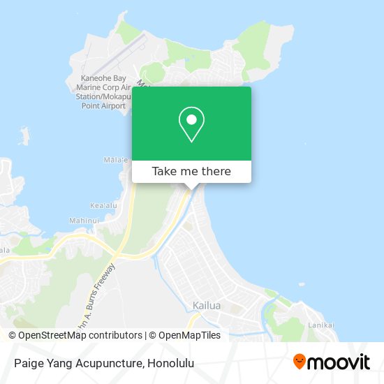 Paige Yang Acupuncture map
