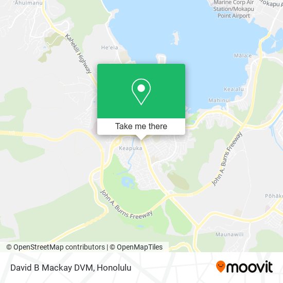 David B Mackay DVM map