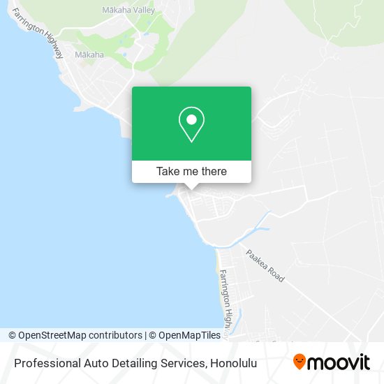 Professional Auto Detailing Services map