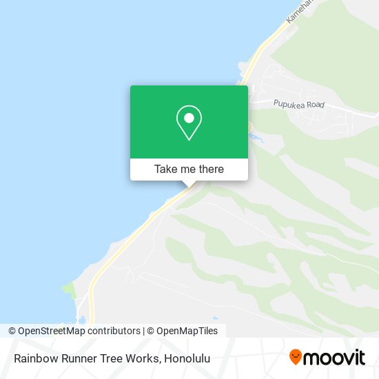 Rainbow Runner Tree Works map