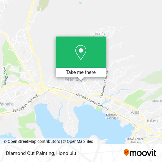 Diamond Cut Painting map