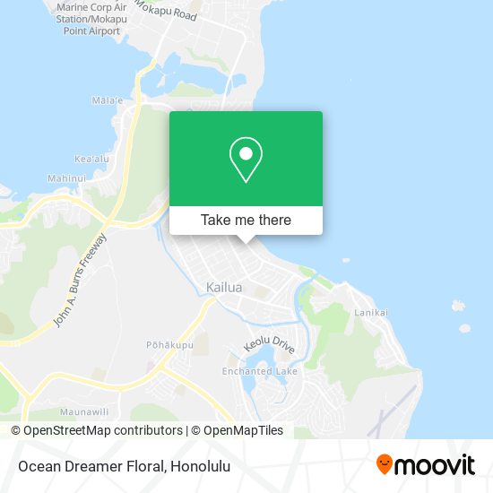 Ocean Dreamer Floral map