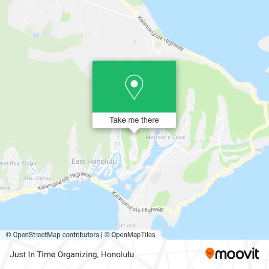 Just In Time Organizing map