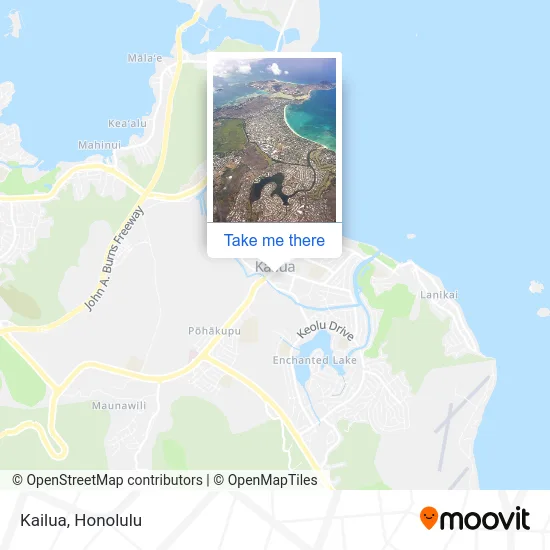 How to Get to Kailua by Bus?