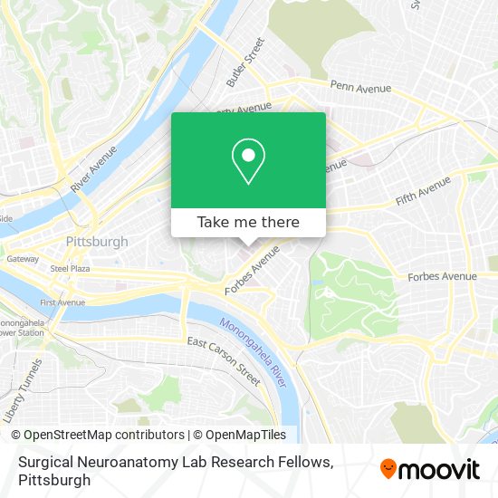 Surgical Neuroanatomy Lab Research Fellows map