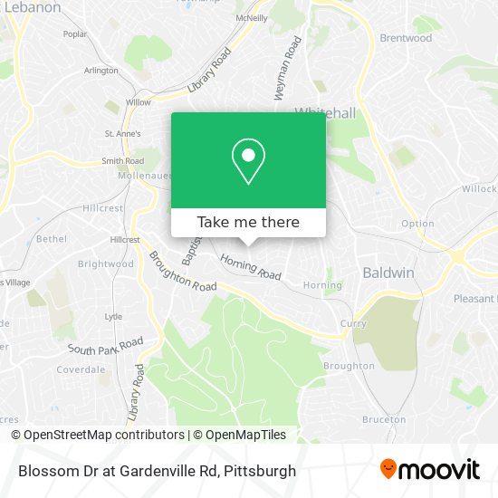 Blossom Dr at Gardenville Rd map