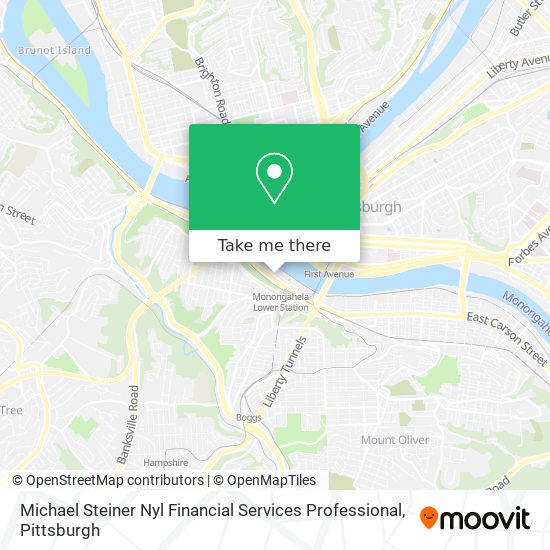 Mapa de Michael Steiner Nyl Financial Services Professional