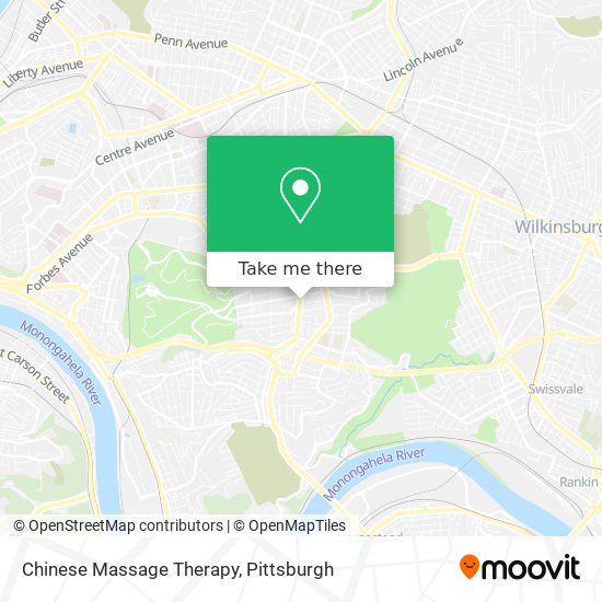 Chinese Massage Therapy map