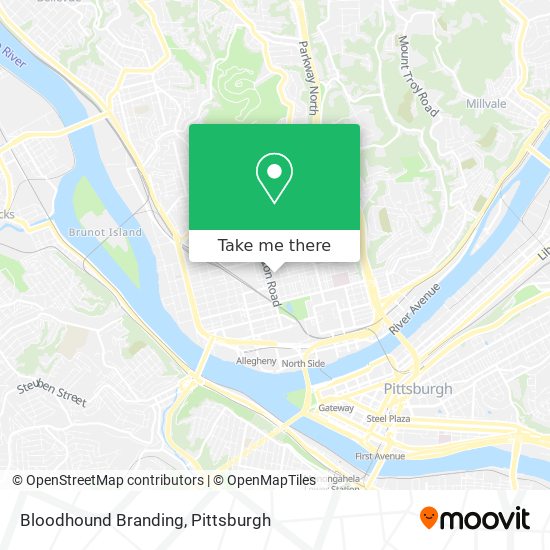 Mapa de Bloodhound Branding