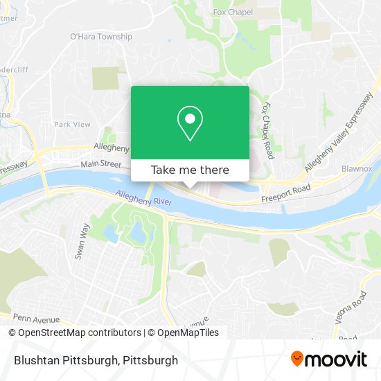 Mapa de Blushtan Pittsburgh