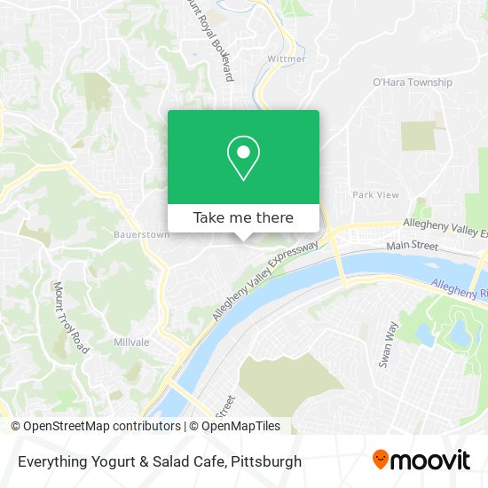 Everything Yogurt & Salad Cafe map