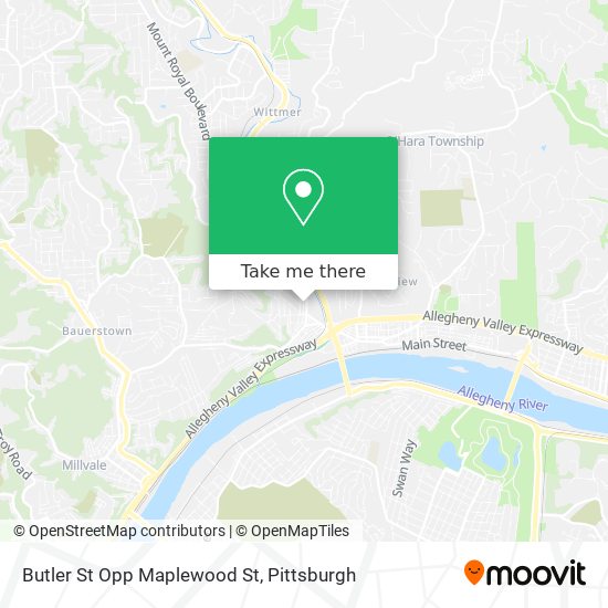 Butler St Opp Maplewood St map