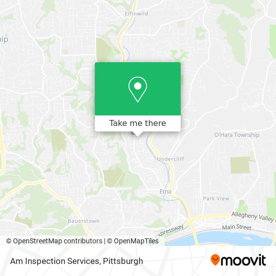 Am Inspection Services map