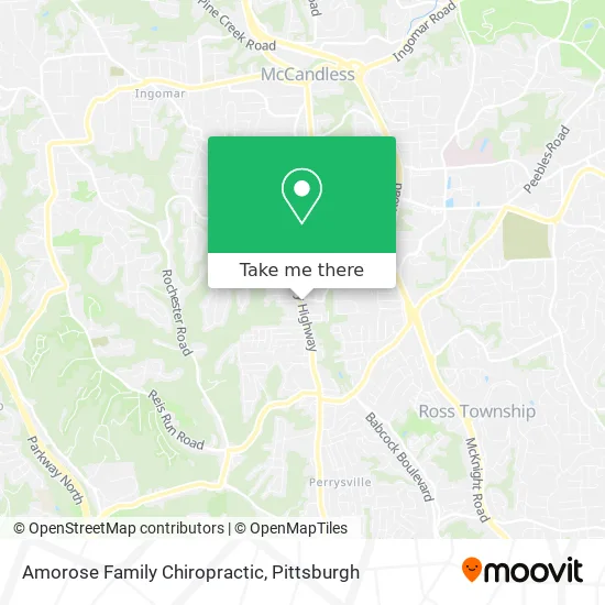 Amorose Family Chiropractic map