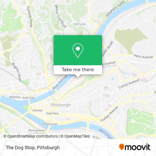 The Dog Stop map