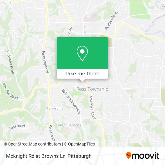 Mcknight Rd at Browns Ln map