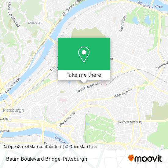 Mapa de Baum Boulevard Bridge