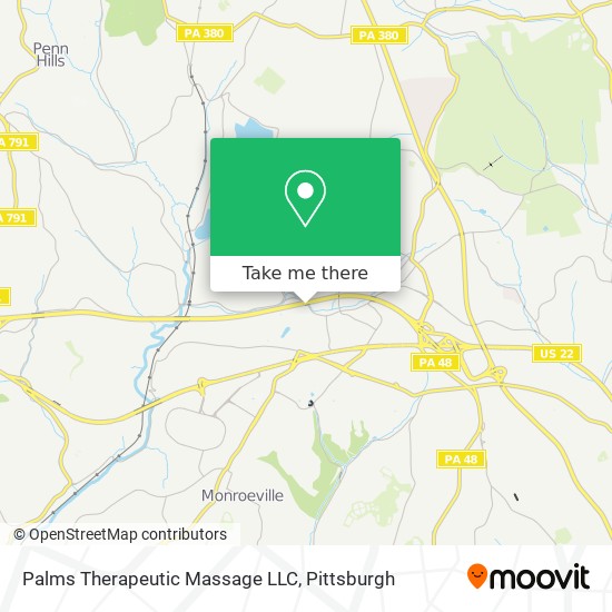 Palms Therapeutic Massage LLC map