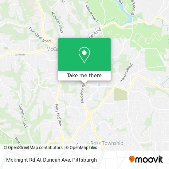 Mcknight Rd At Duncan Ave map