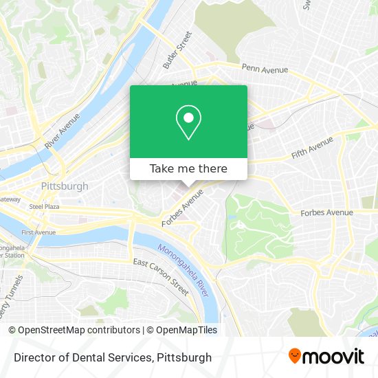 Mapa de Director of Dental Services