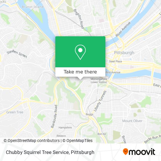 Chubby Squirrel Tree Service map