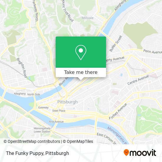 The Funky Puppy map