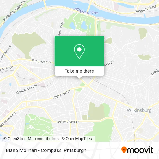 Blane Molinari - Compass map