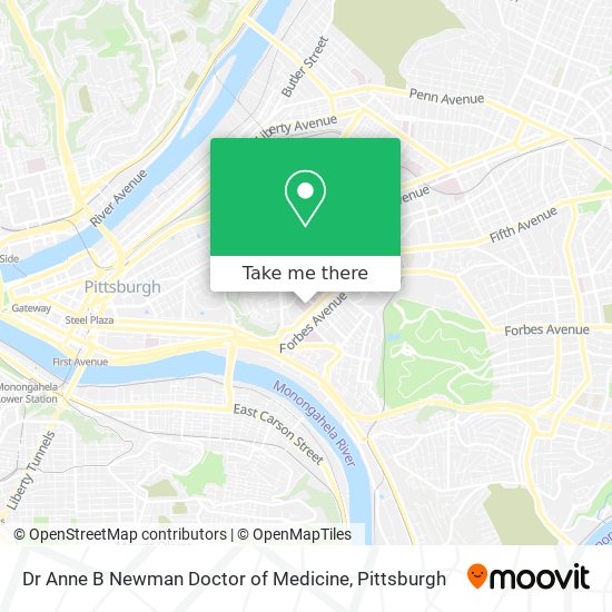 Dr Anne B Newman Doctor of Medicine map