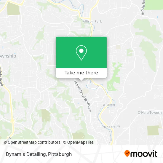 Dynamis Detailing map