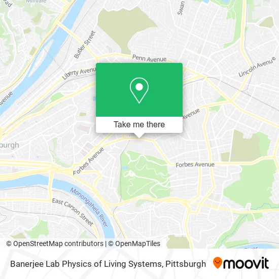 Mapa de Banerjee Lab Physics of Living Systems