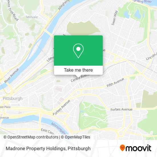 Madrone Property Holdings map
