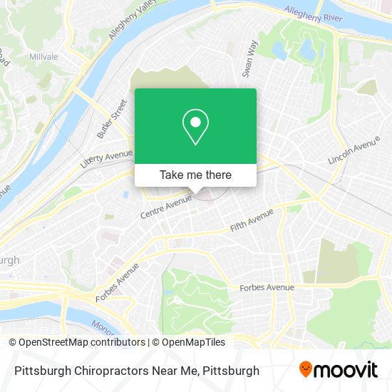 Mapa de Pittsburgh Chiropractors Near Me