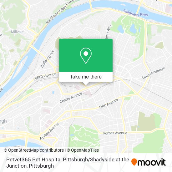 Petvet365 Pet Hospital Pittsburgh / Shadyside at the Junction map