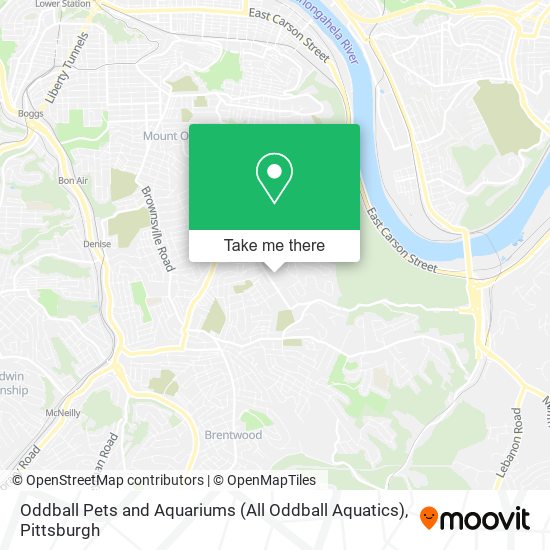 Oddball Pets and Aquariums (All Oddball Aquatics) map