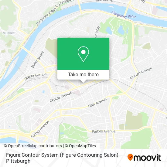Mapa de Figure Contour System (Figure Contouring Salon)