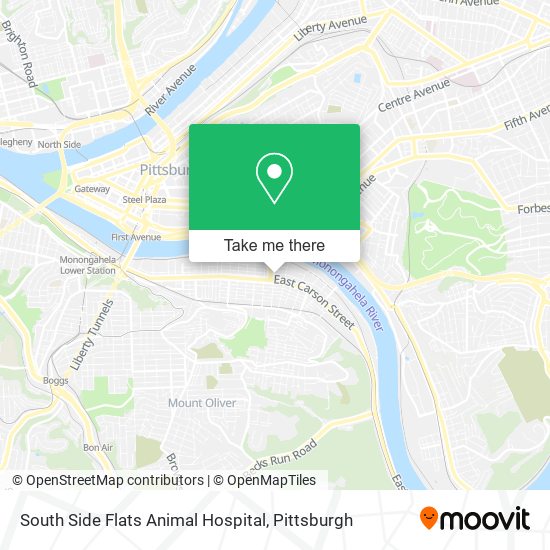 Mapa de South Side Flats Animal Hospital