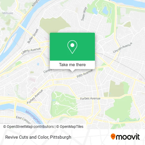 Revive Cuts and Color map