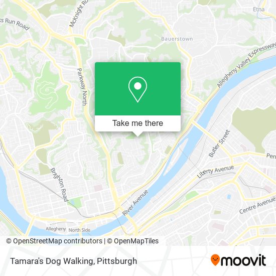 Tamara's Dog Walking map
